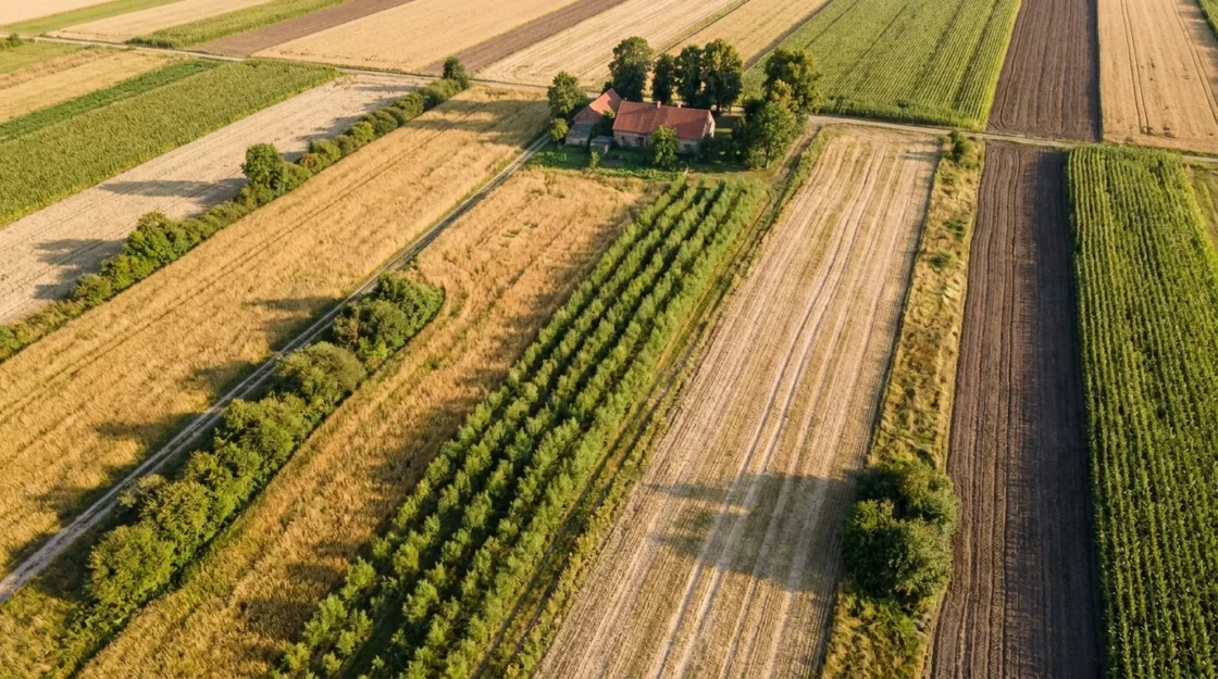 Widok z lotu ptaka na polskie pola: łąki traw nasiennych, rzędy wierzby do wyplatania i zagroda, nowe limity sum ubezpieczenia upraw od 4 sierpnia 2026