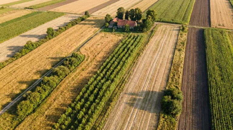 Widok z lotu ptaka na polskie pola: łąki traw nasiennych, rzędy wierzby do wyplatania i zagroda, nowe limity sum ubezpieczenia upraw od 4 sierpnia 2026